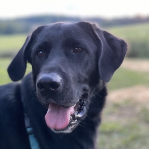 Fundraising Page: Jonathan Stern